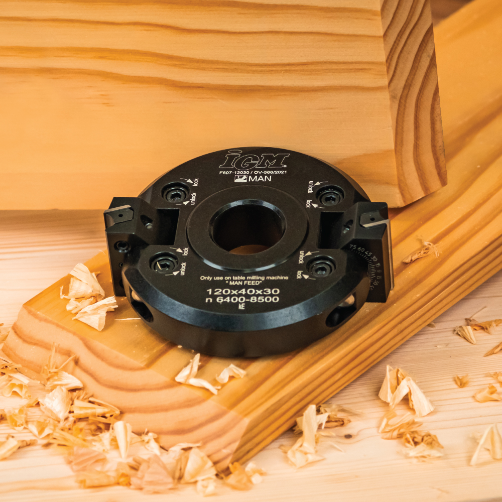 IGM F607 Justerbart hode for fasfres +-45° MAN - D120x40 d30 Z2 ALU - Bilde 5